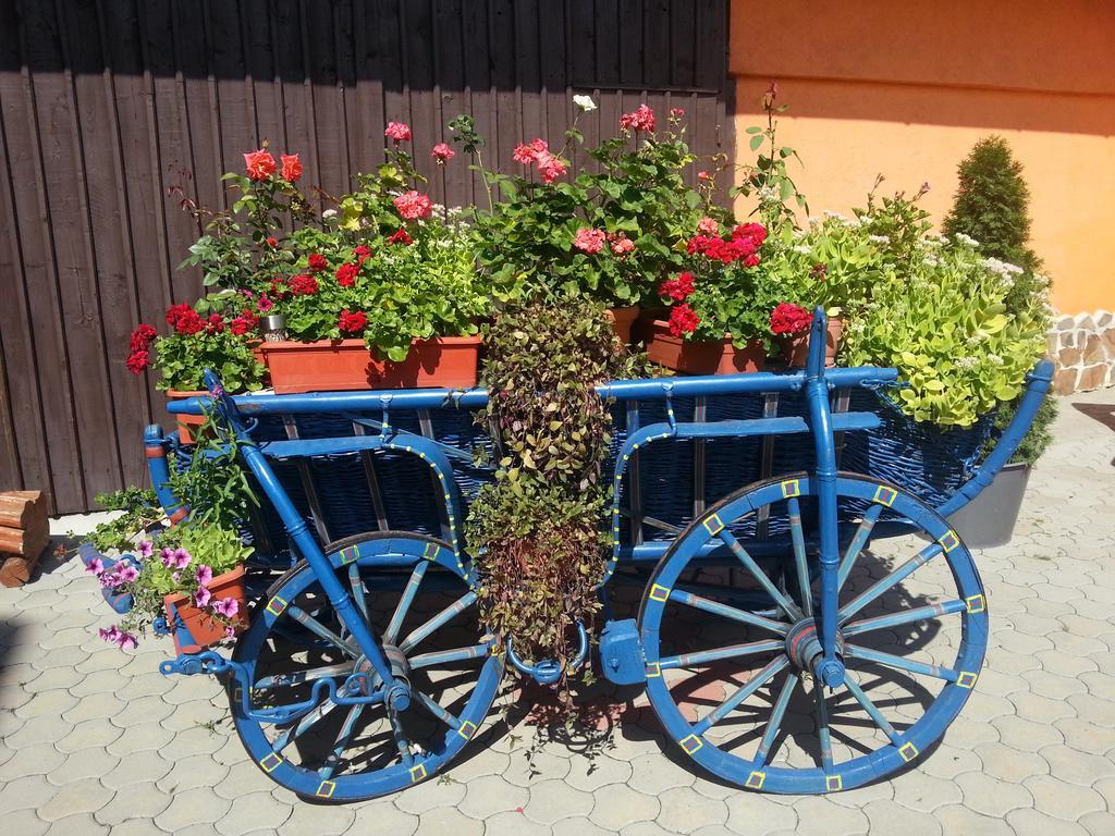 Hotel Bliss Sibiu Exterior photo